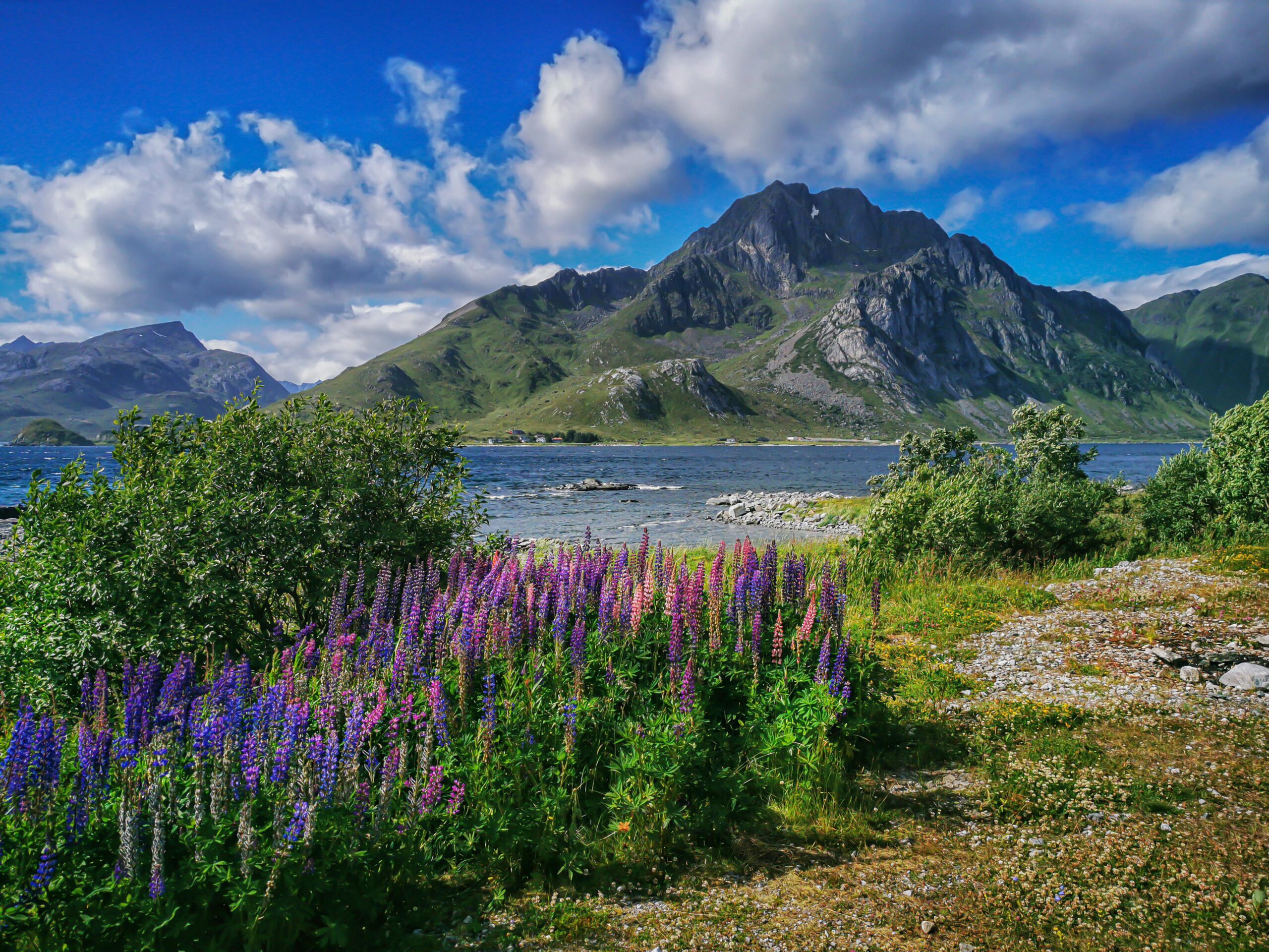 High-Ticket-Affiliate-Marketing: Strategien & Praxisleitfaden 2 Kostenloses Stock Foto zu abenteuer, abenteurer, adrenalinpumpen