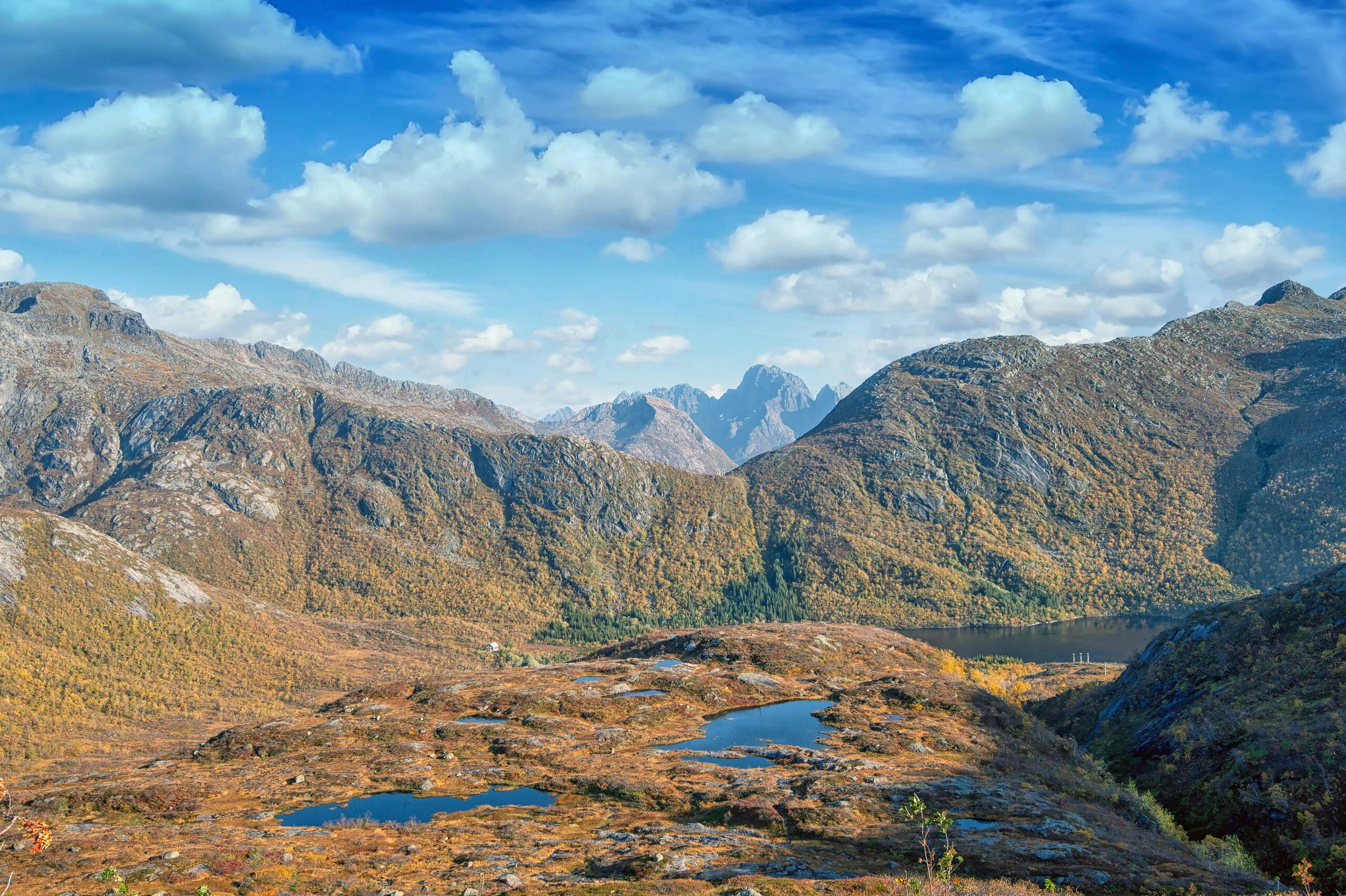 Wie ich in einer Woche 2.463 € verdient habe – echtes Experiment 1