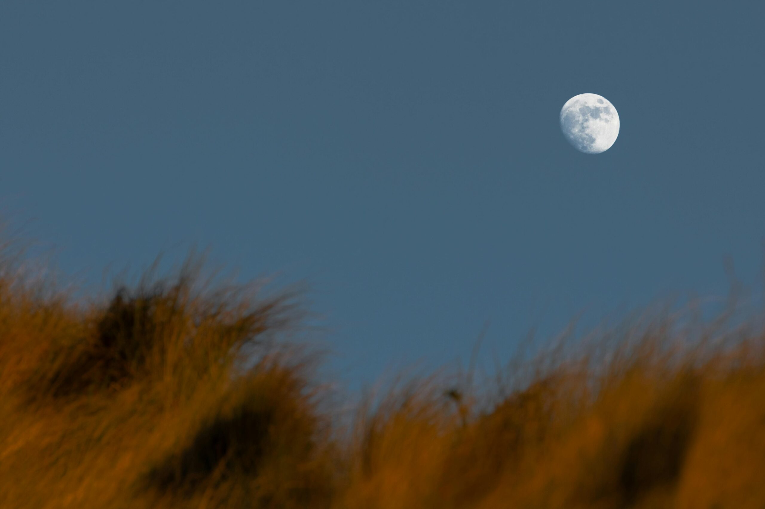 Affiliate‑Marketing für Studierende: 90‑Tage‑Erfolgsplan und Tipps 1