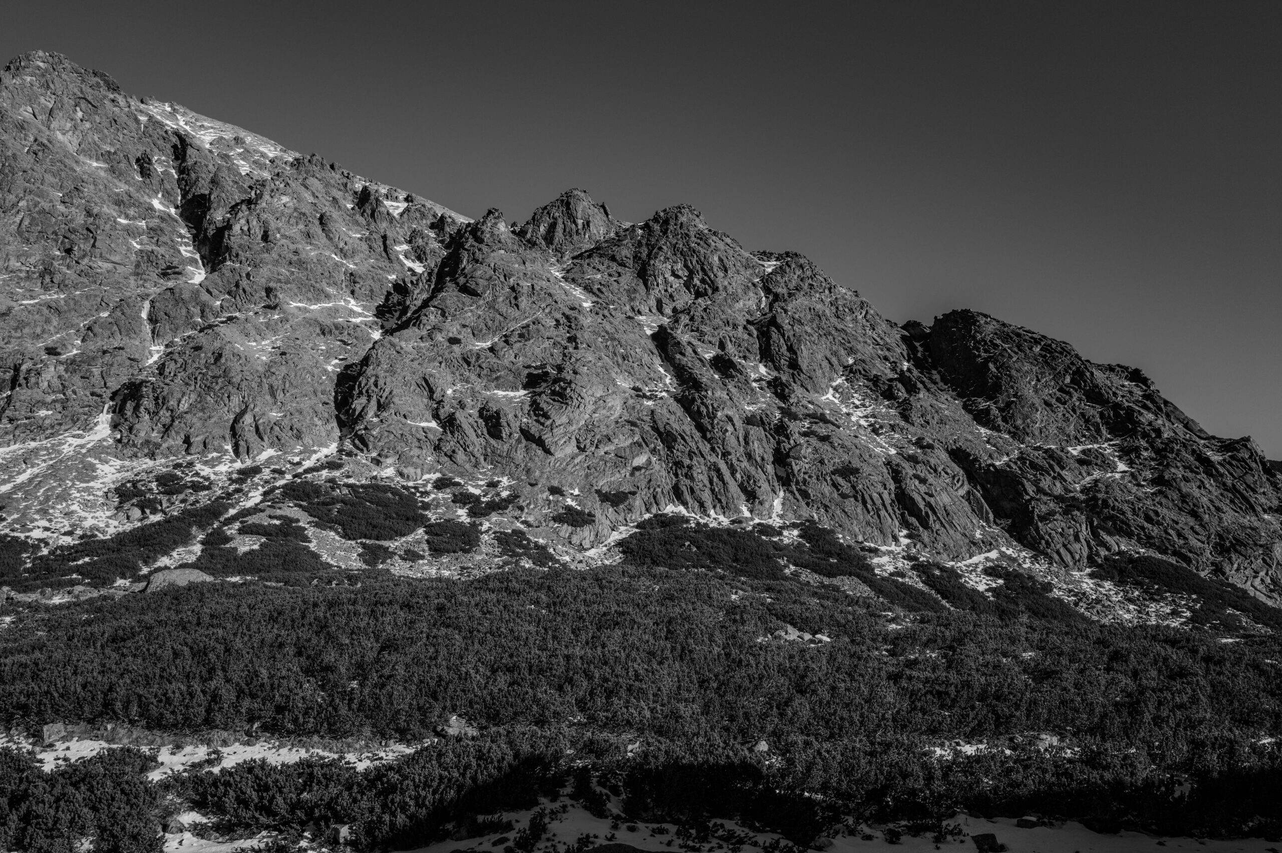 Profitbuddies High-Ticket-Affiliate: Chancen, Risiken und Praxis 1